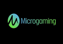 Szczegółowy przegląd na temat Microgaming